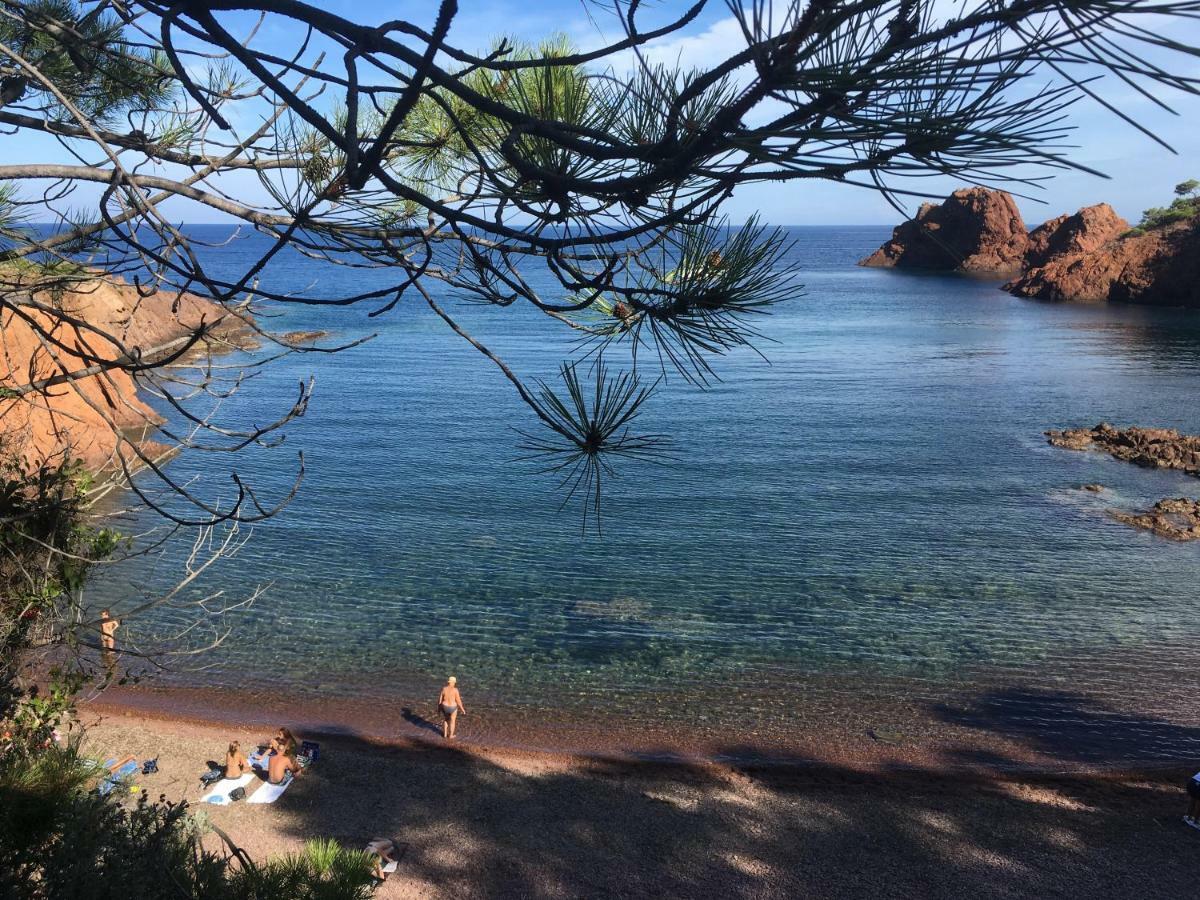 "Les Alizes" Cote Jardin Proche Bord De Mer Saint-Raphael  Ngoại thất bức ảnh
