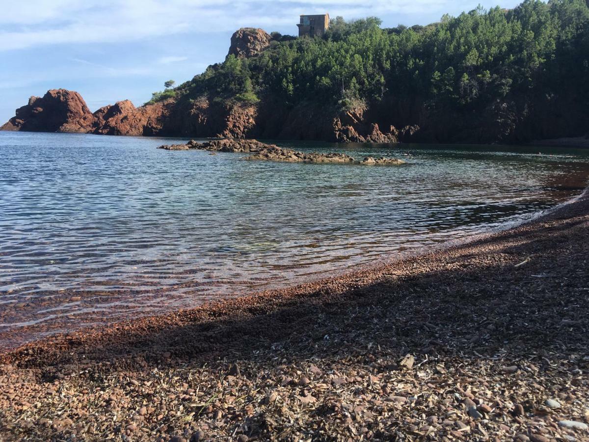 "Les Alizes" Cote Jardin Proche Bord De Mer Saint-Raphael  Ngoại thất bức ảnh